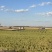 东北寒地水稻原产地，圆粒、长粒、稻花香、粘米、黑米，
