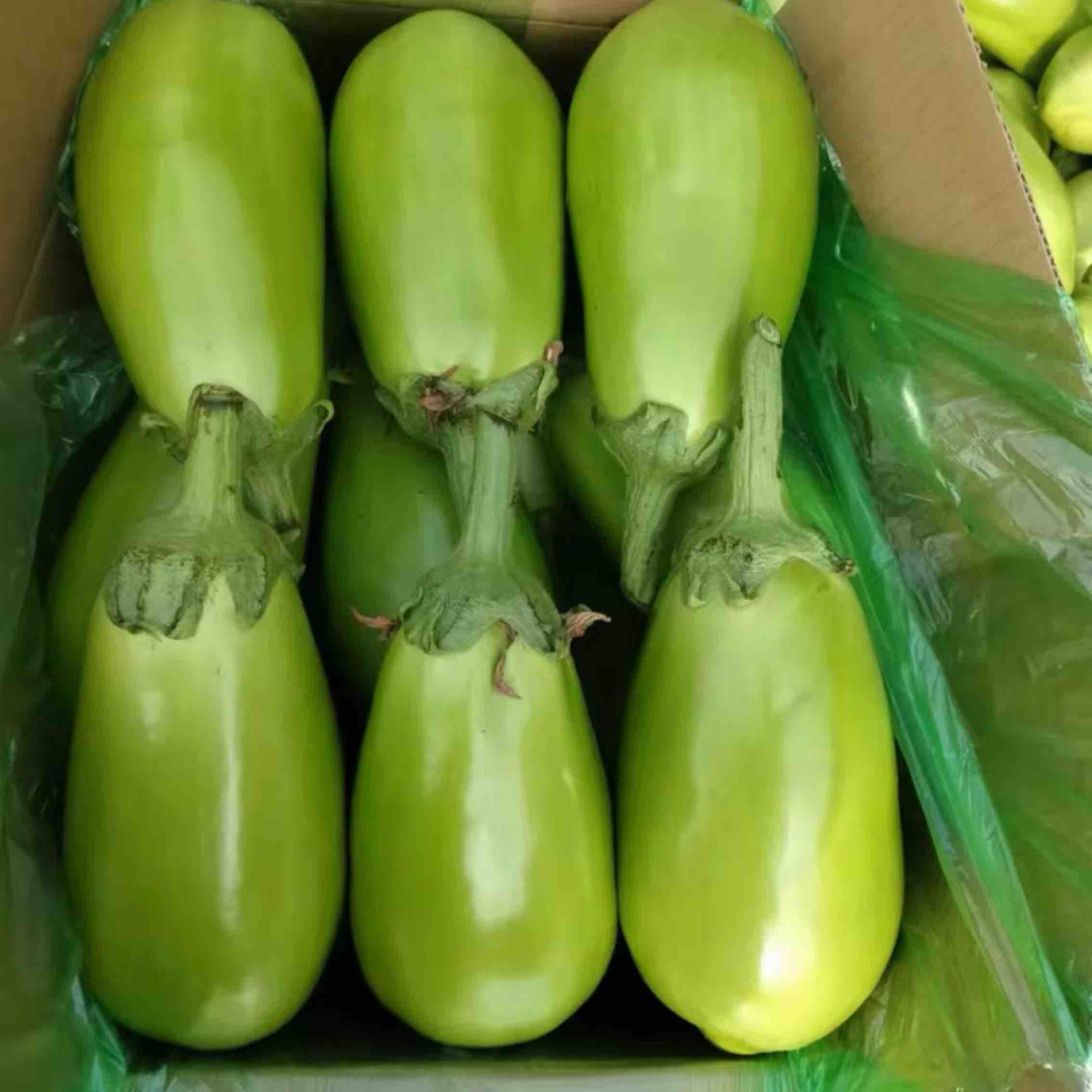 青茄瓜的魅力与欣赏：附青茄瓜图片展示- 一亩田