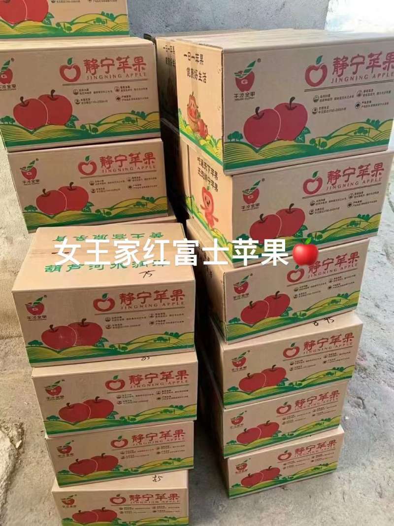 通静产地山上鲜富士苹果量足脆甜耐储运