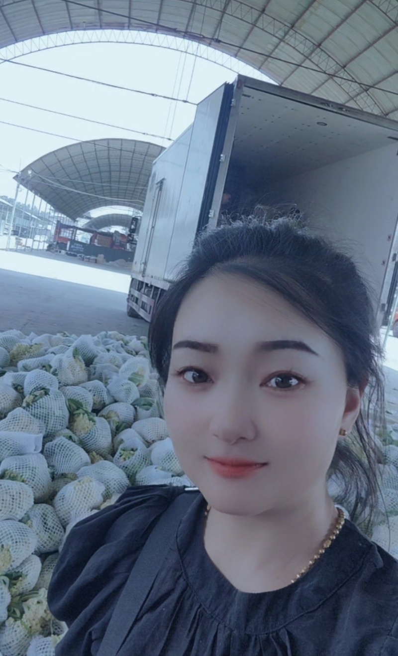 白面青梗小米粒有机松花菜2～3斤货源充足可视频看货