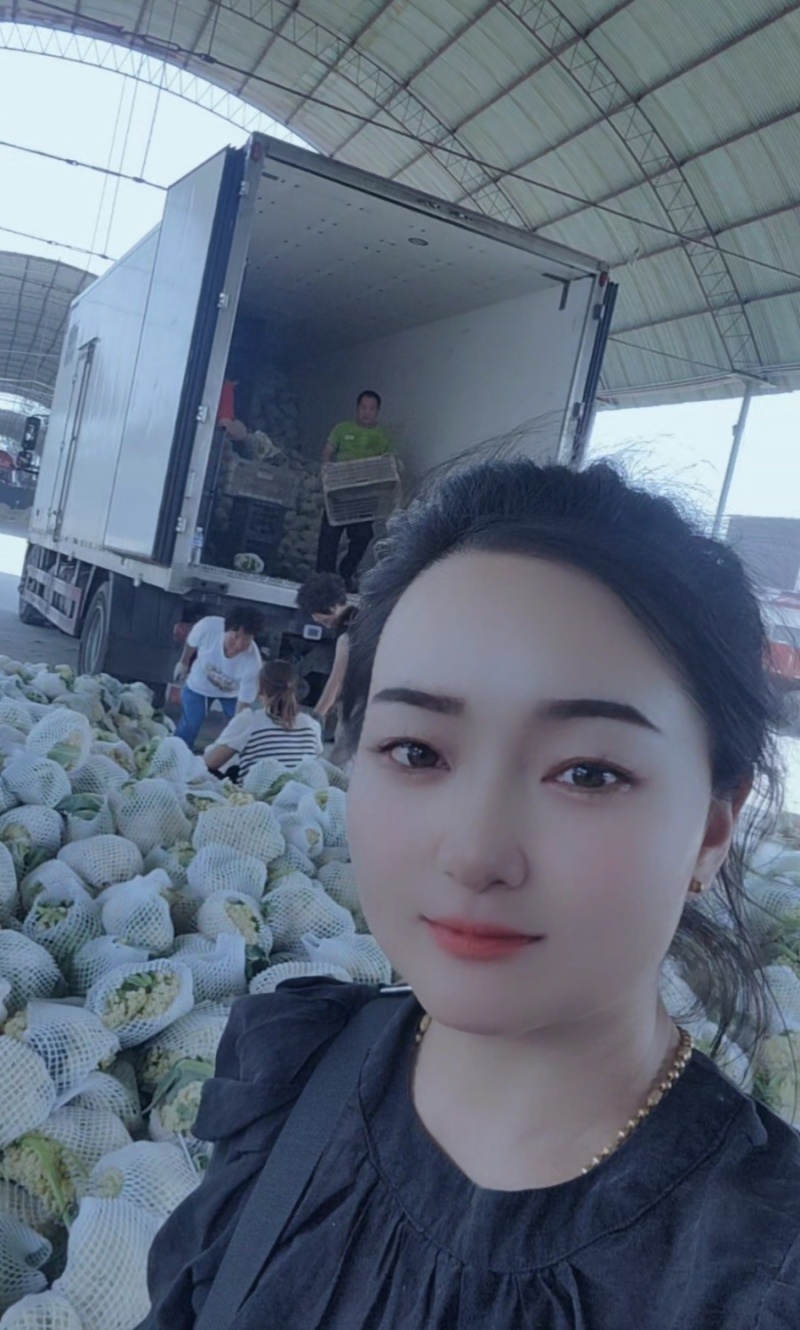 白面青梗小米粒有机松花菜2～3斤货源充足可视频看货