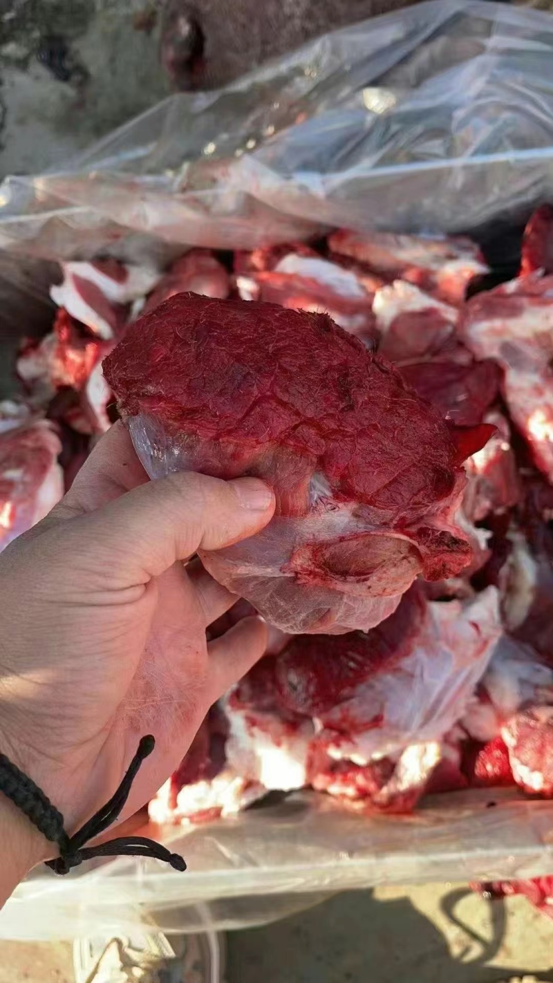 国产纯干牛肉块，一手货源，质量保证，量大更优惠