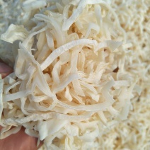 山东济宁鱼台县白木耳丝干货山野脆素食餐厅特色食材毛木耳丝