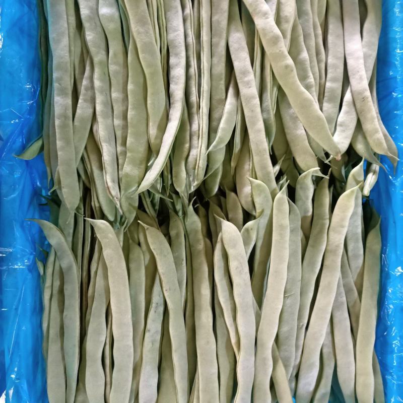 扁豆