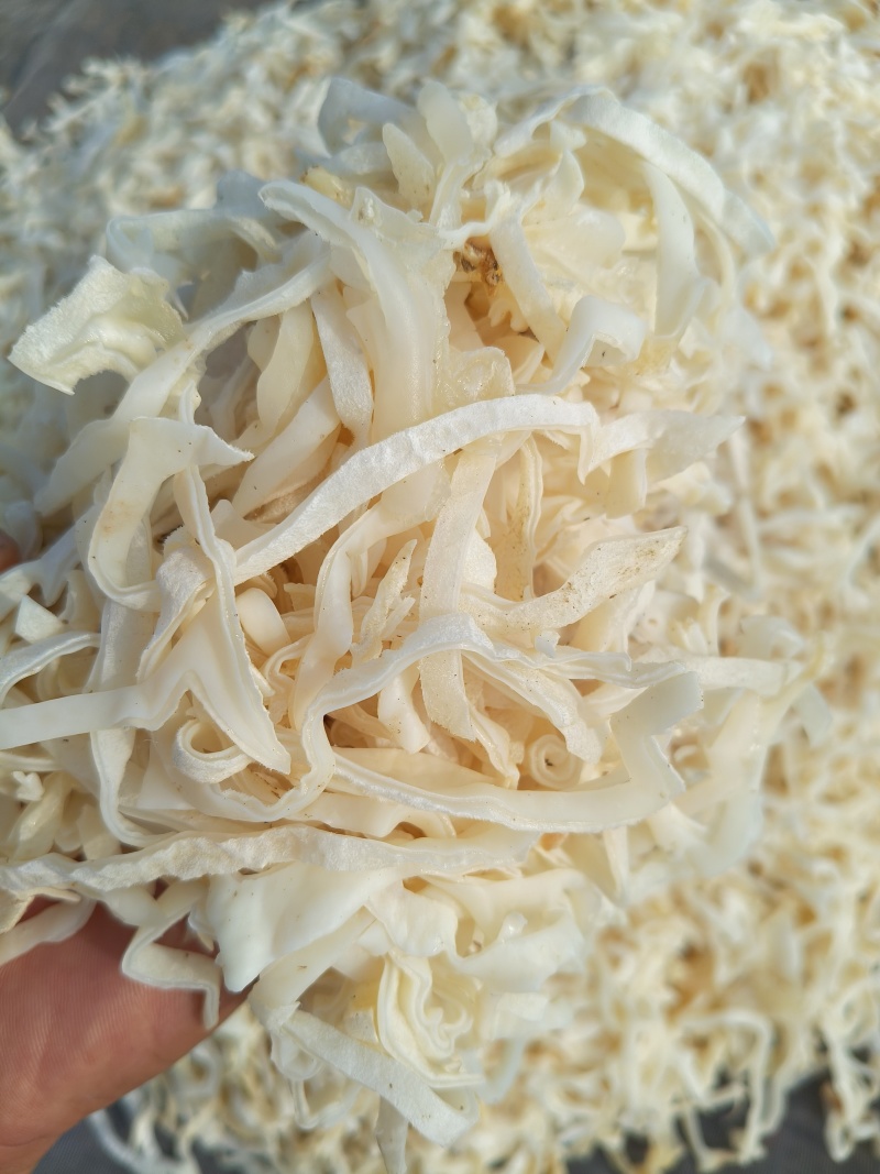 山东济宁鱼台县白木耳丝干货山野脆素食餐厅特色食材毛木耳丝