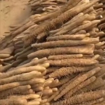 双棒山药二三路