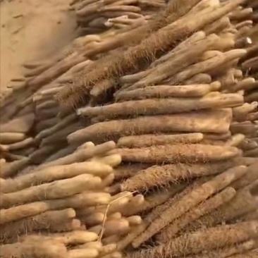 双棒山药二三路