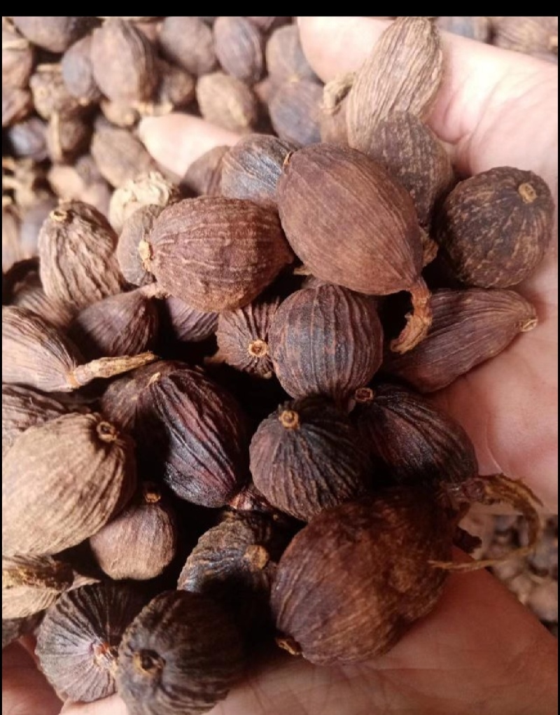 【优质】云南草果，越南草果，电烤草果炭烧草果-原产地直销