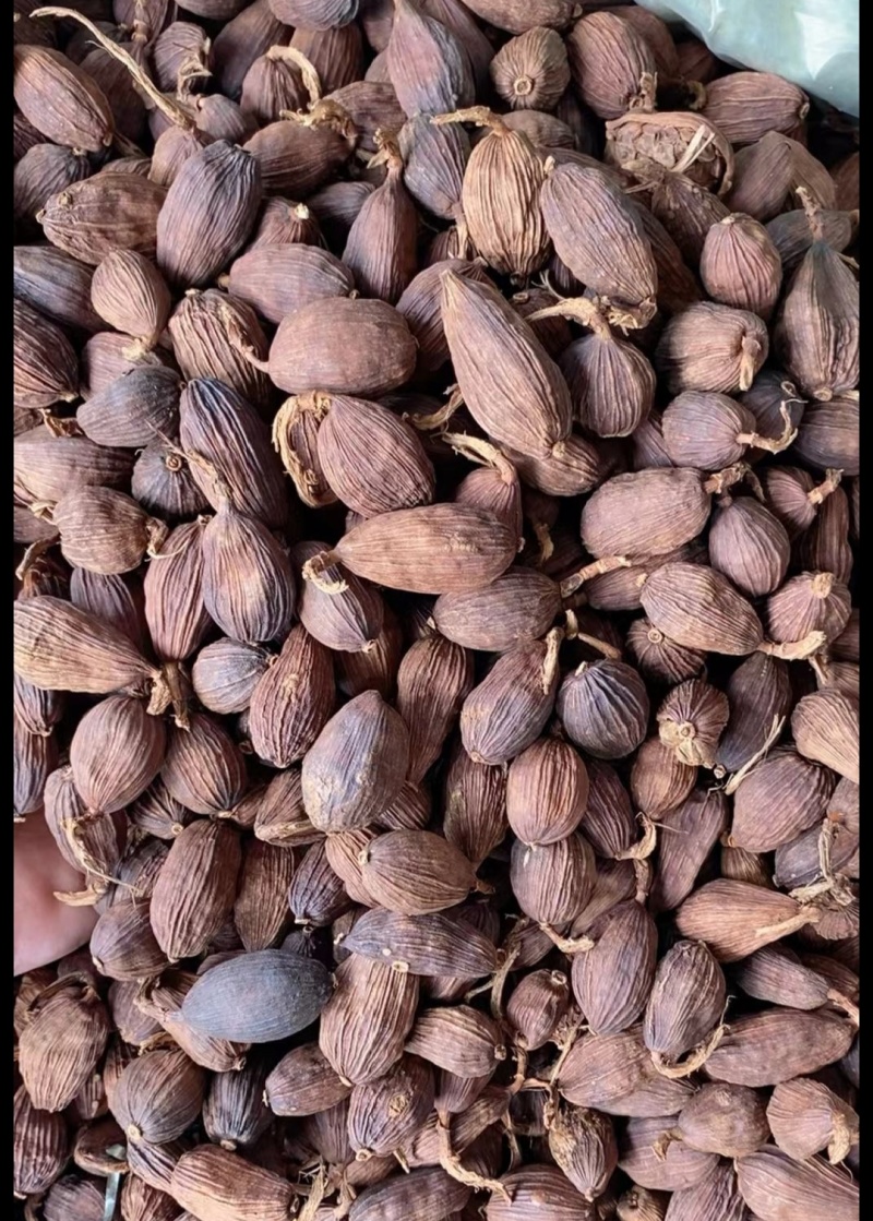 【优质】云南草果，越南草果，电烤草果炭烧草果-原产地直销