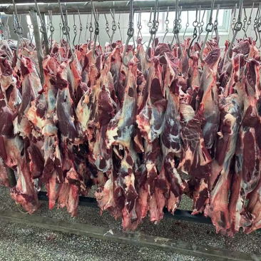 国产纯干鲜牛肉，黄牛肉部位肉，每天屠宰，可全国发货！