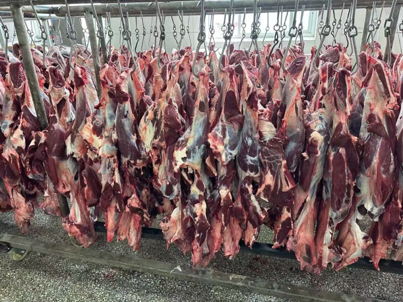 国产纯干鲜牛肉，黄牛肉部位肉，每天屠宰，可全国发货！