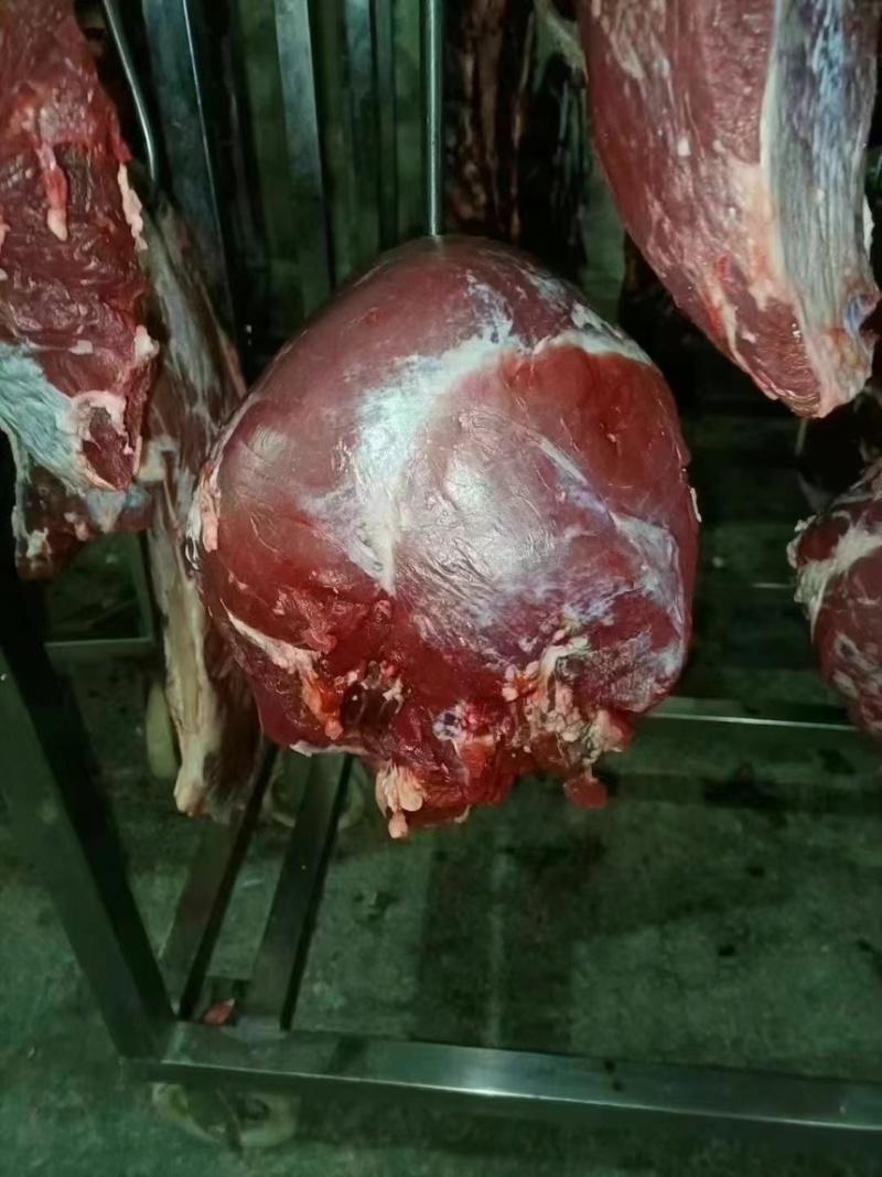 国产纯干鲜牛肉，黄牛肉部位肉，每天屠宰，可全国发货！