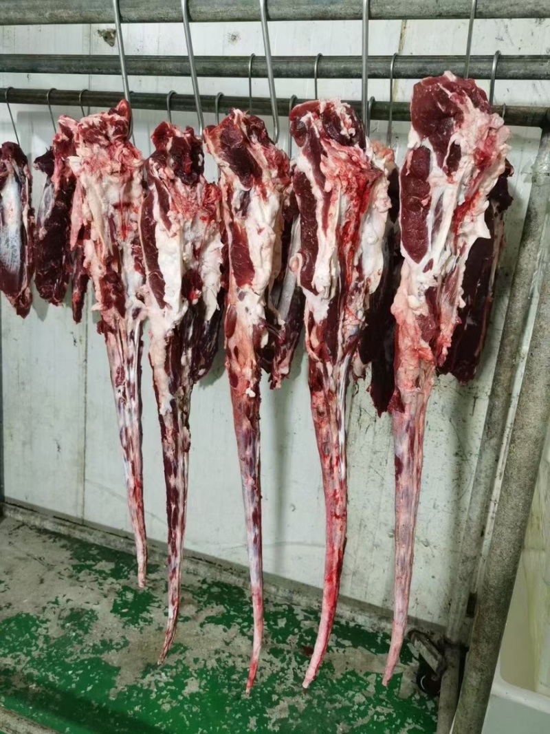 国产纯干鲜牛肉，黄牛肉部位肉，每天屠宰，可全国发货！