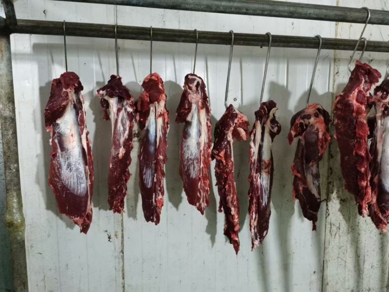 国产纯干鲜牛肉，黄牛肉部位肉，每天屠宰，可全国发货！