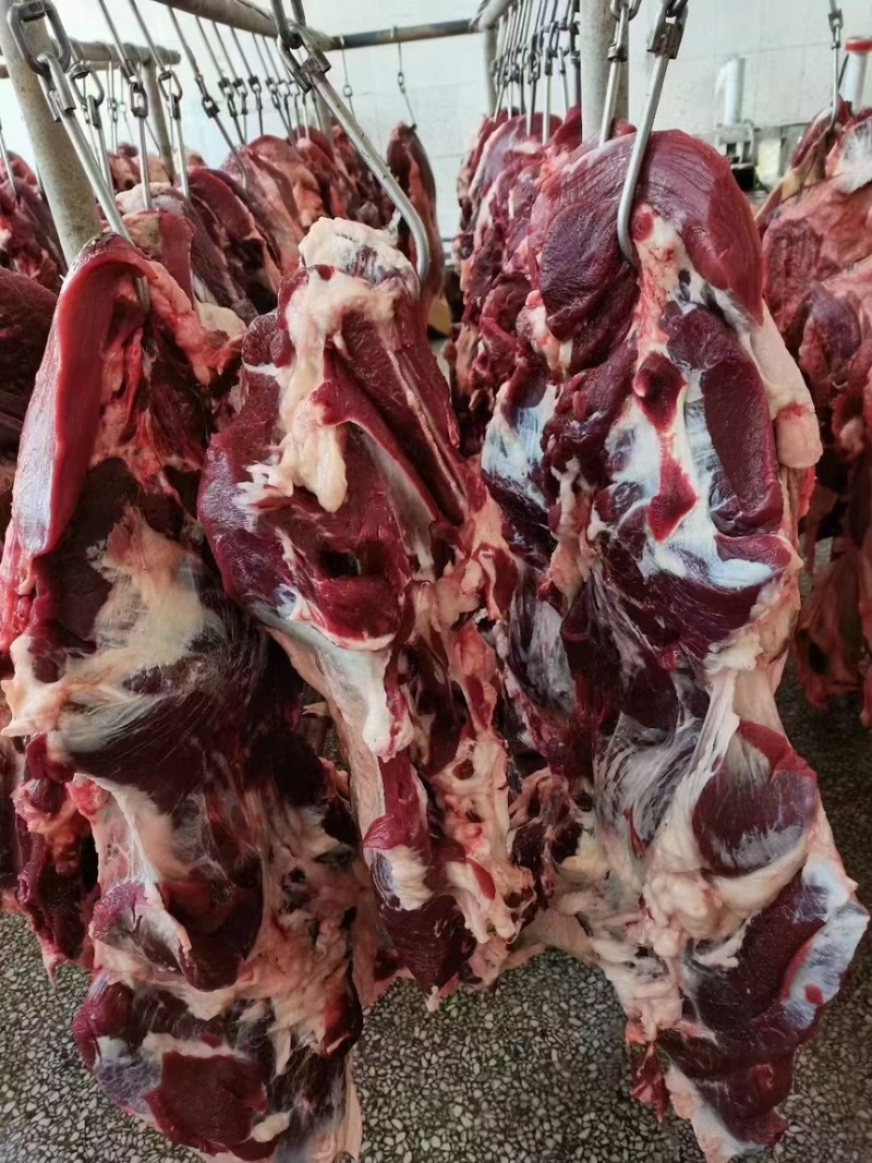 国产纯干鲜牛肉，黄牛肉部位肉，每天屠宰，可全国发货！