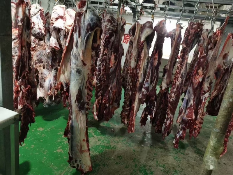 国产纯干鲜牛肉，黄牛肉部位肉，每天屠宰，可全国发货！