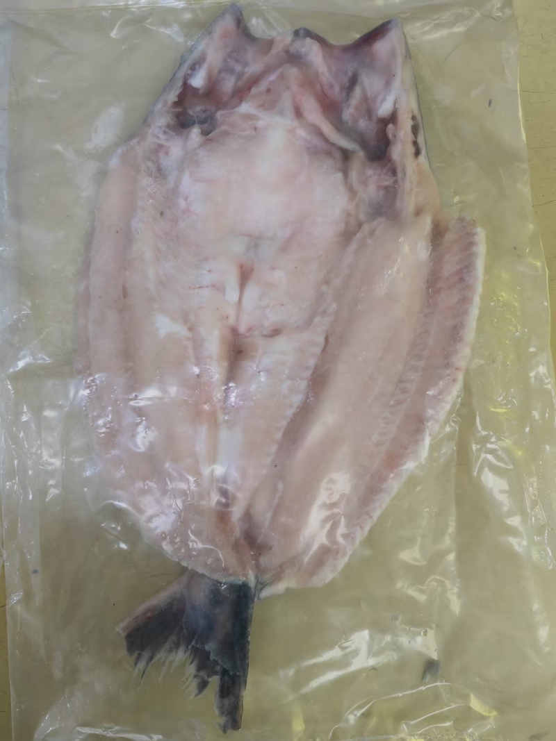 各种规格开背巴沙鱼原料