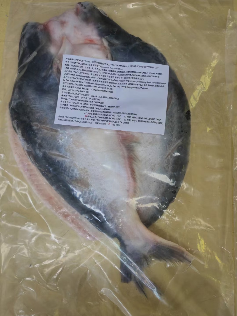 各种规格开背巴沙鱼原料