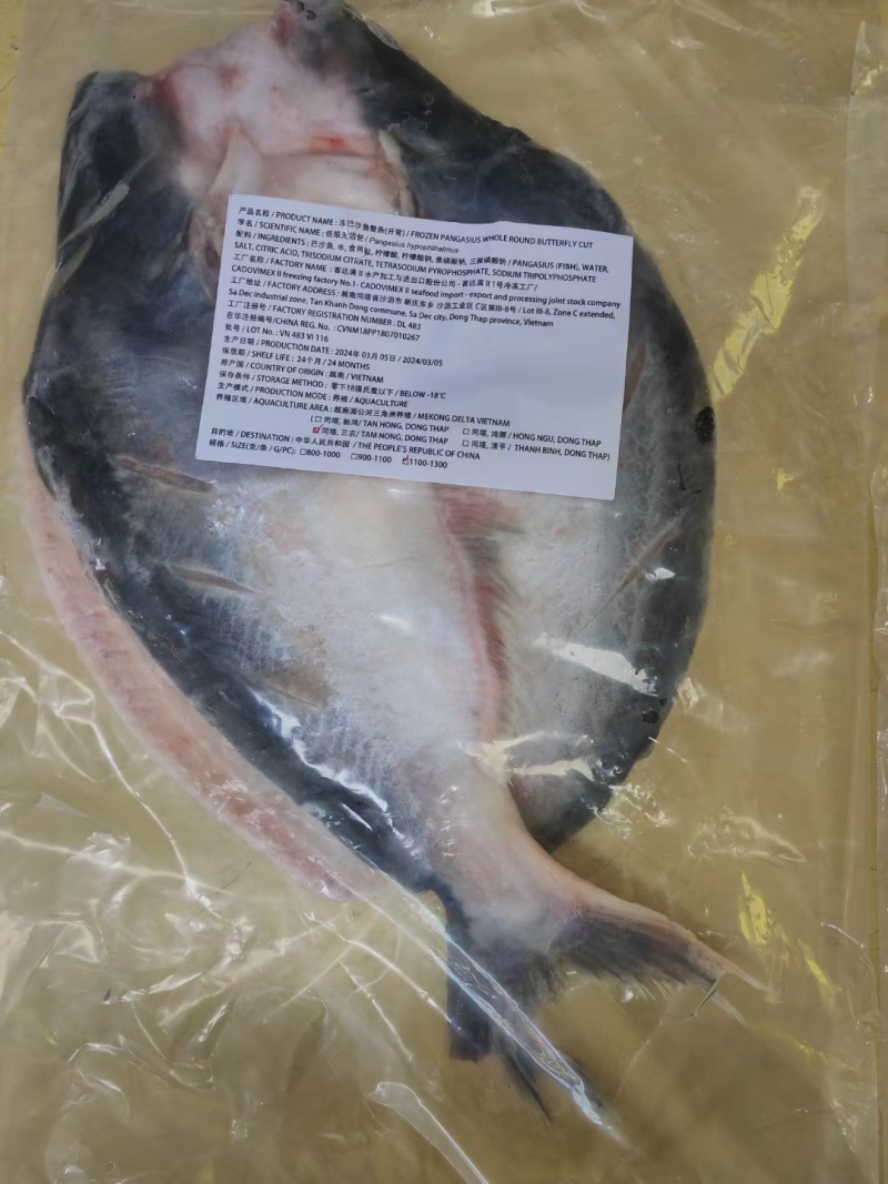 各种规格开背巴沙鱼原料