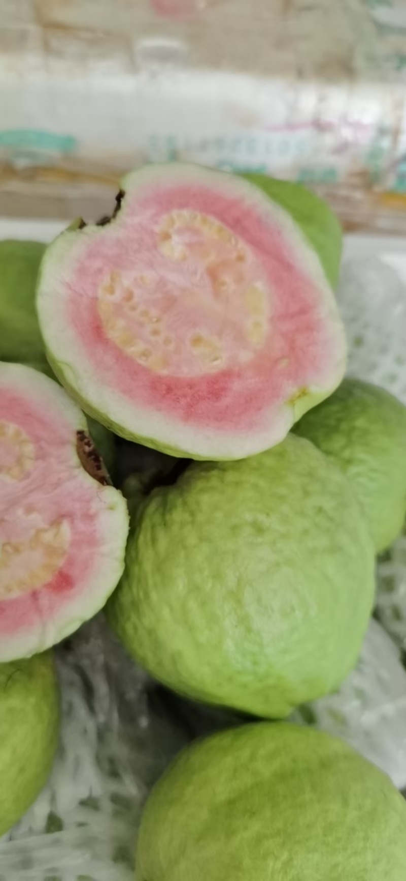 红宝石芭乐，西瓜红芭乐大量供应，个头均匀，果面光亮