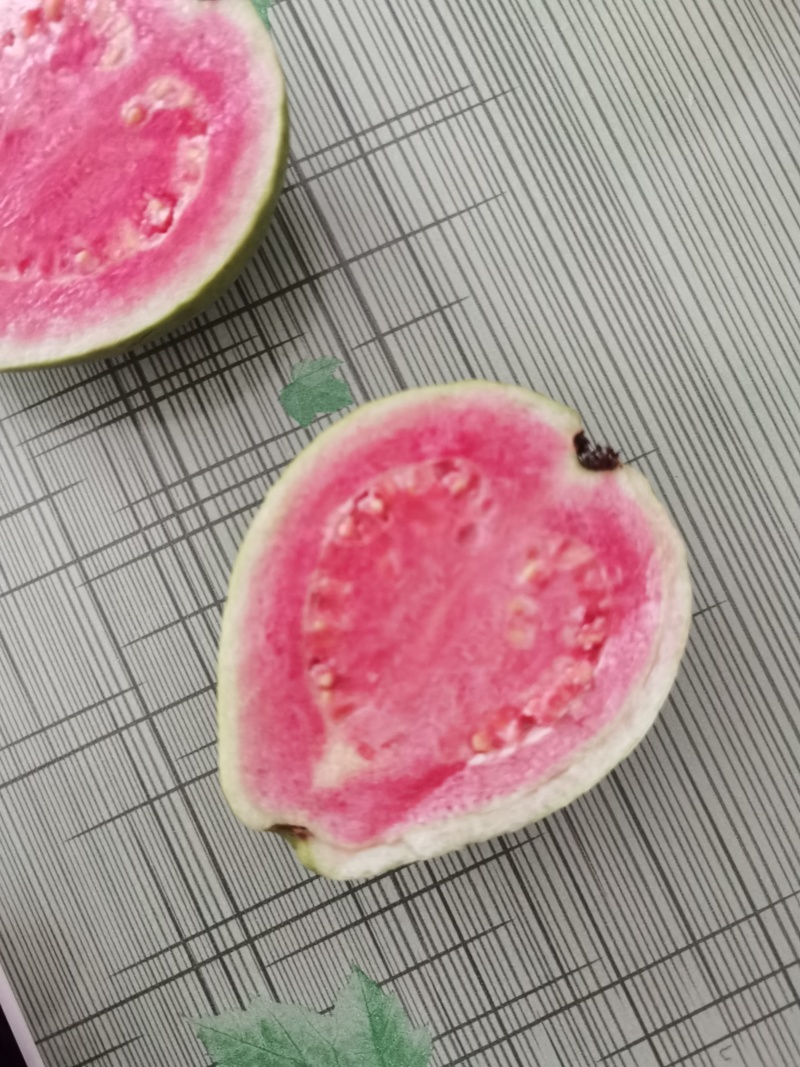 红宝石芭乐，西瓜红芭乐大量供应，个头均匀，果面光亮