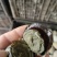 精品麻壳无铅松花蛋，厂家直销，赶集摆摊的赚钱好产品