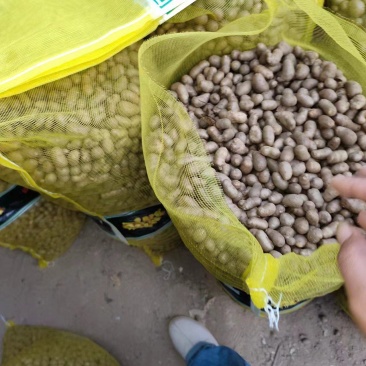 山药豆大量出售