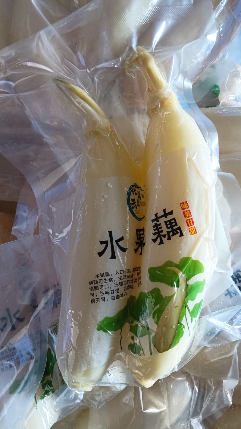 水果藕大量供应，生吃脆甜，入口无渣，当天采摘发货。