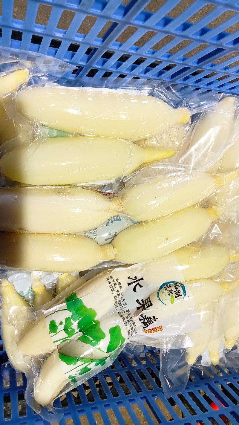 水果藕大量供应，生吃脆甜，入口无渣，当天采摘发货。