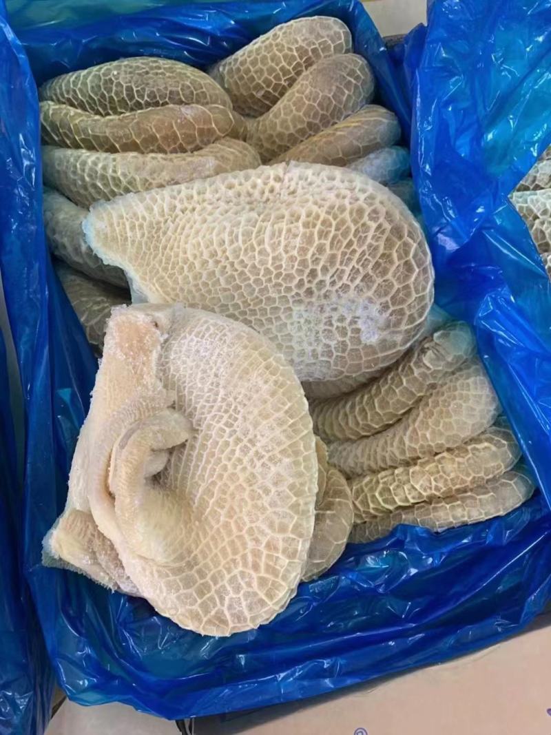金钱肚金钱肚，口感爽脆，味道鲜美烧烤，涮肚，酱炒，熟食
