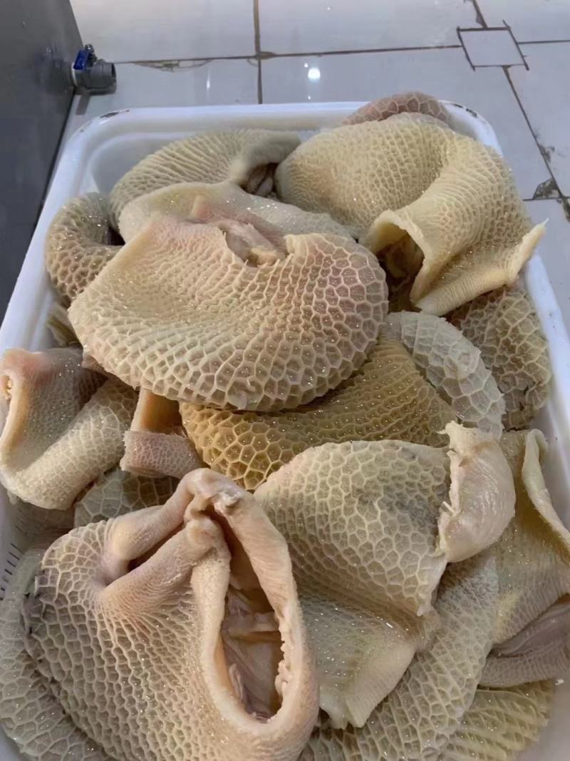 金钱肚金钱肚，口感爽脆，味道鲜美烧烤，涮肚，酱炒，熟食