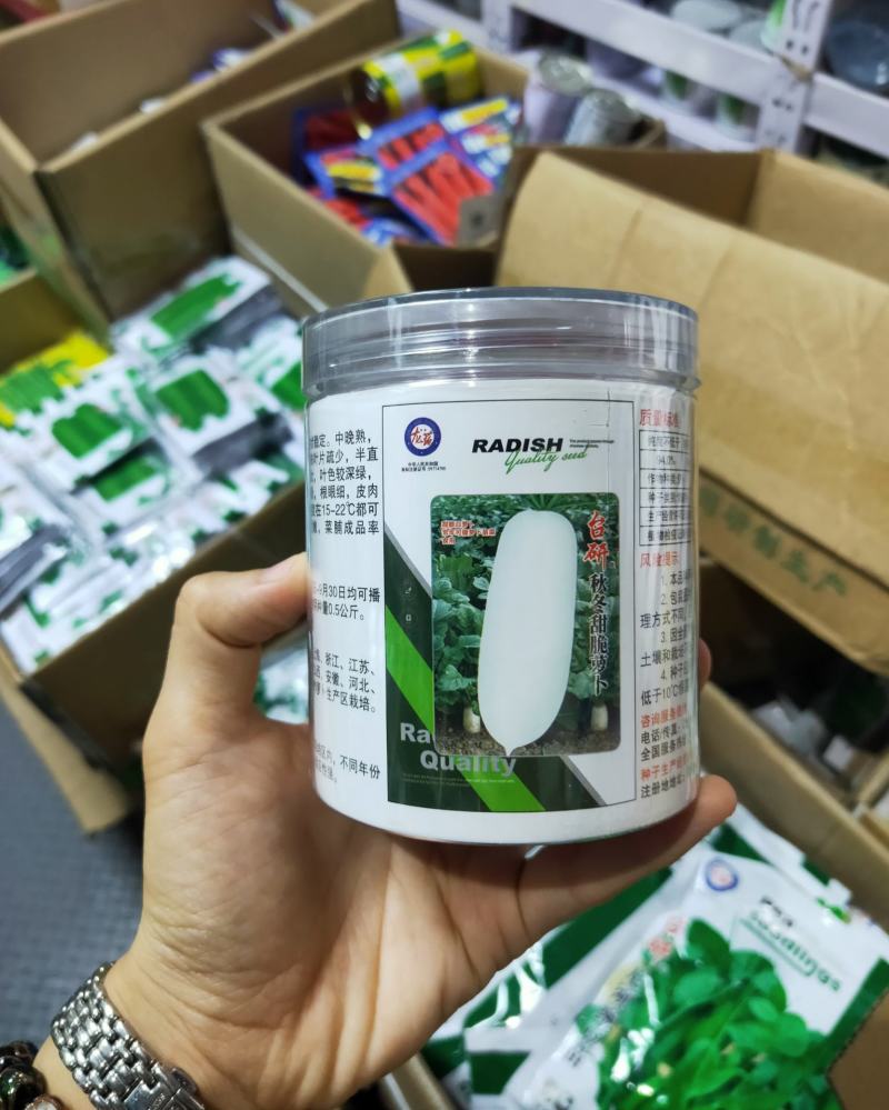 秋冬雪玉白萝卜种子中晚熟皮肉白色单株约2-3kg耐寒性好