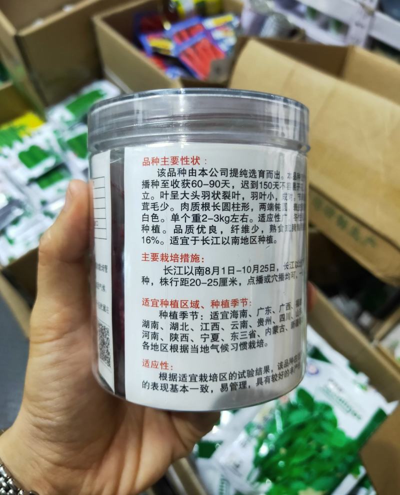 秋冬雪玉白萝卜种子中晚熟皮肉白色单株约2-3kg耐寒性好