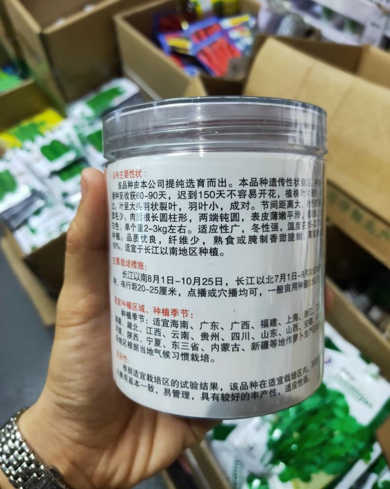 秋冬雪玉白萝卜种子中晚熟皮肉白色单株约2-3kg耐寒性好