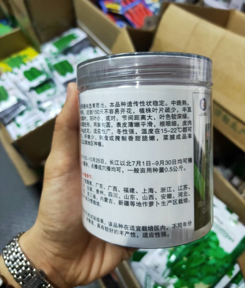 秋冬雪玉白萝卜种子中晚熟皮肉白色单株约2-3kg耐寒性好