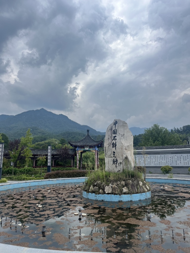 霍山铁皮石斛枫斗石斛霍山石斛原产地批发