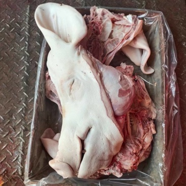 一级母猪头，带耳不带舌