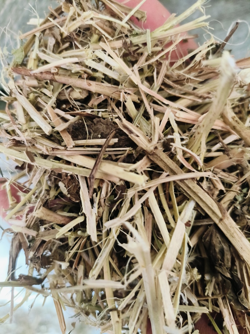 草场直发，大量出售一级花生秧羊草现货