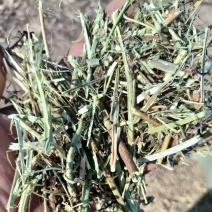 草场直发，大量出售一级花生秧羊草现货