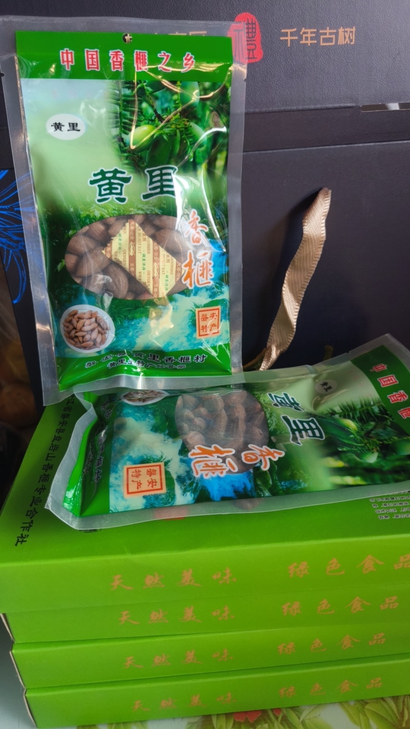 黄里老树香榧