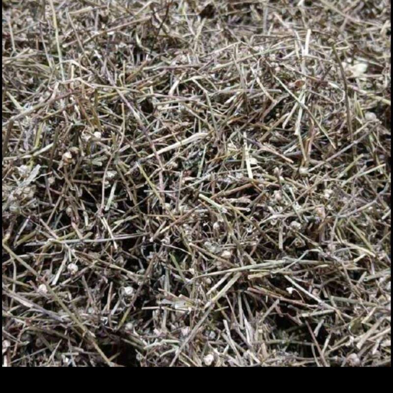 种植大户，原产地，量大优惠