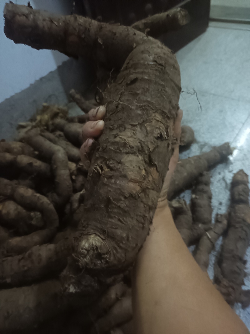 隔山消大货统货都有