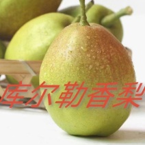 库尔勒香梨已经代发，渠道供货