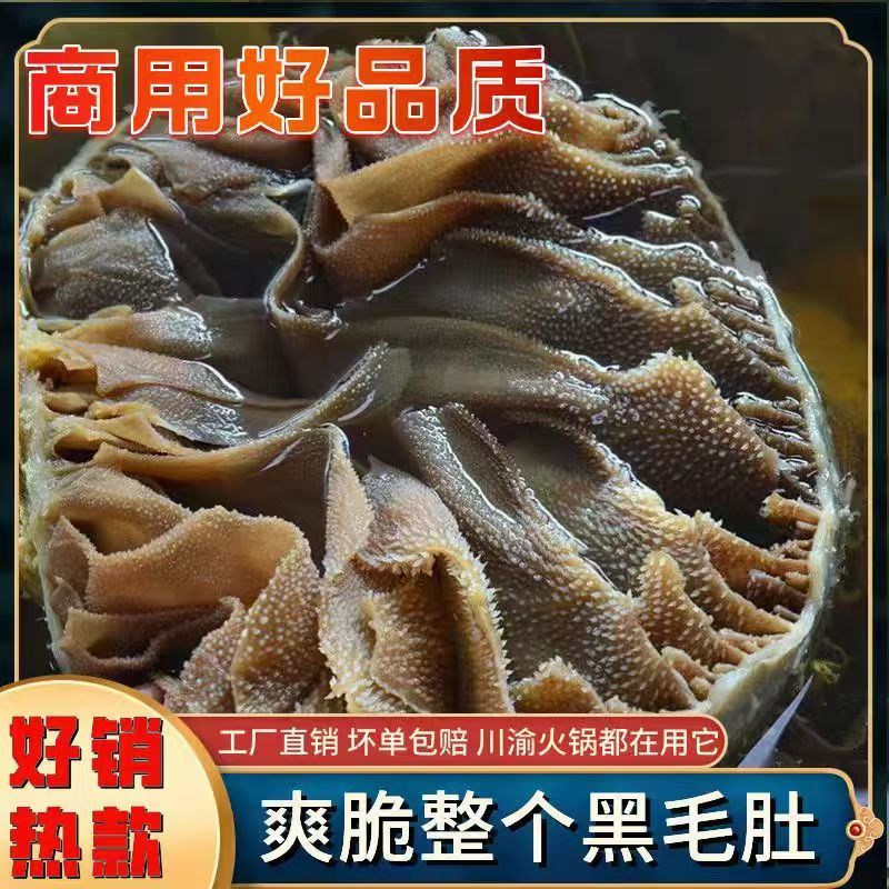 整个毛肚火锅新鲜牛肚带底板黑毛肚牛百叶毛肚千层肚
