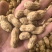江苏花生白沙系列大白沙花生干花生颗粒饱满自家种植过筛干净