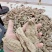 云南天麻产地货源量大从优欢迎联系支持视频看货