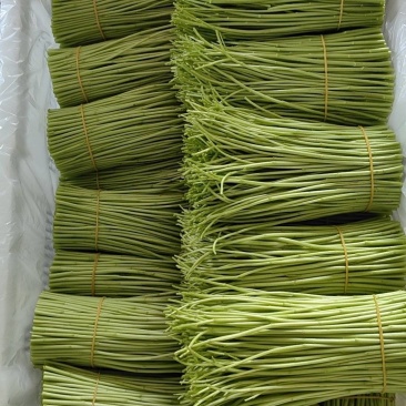 云南精品芦蒿产地直销保质保量一手货源对接商超市场