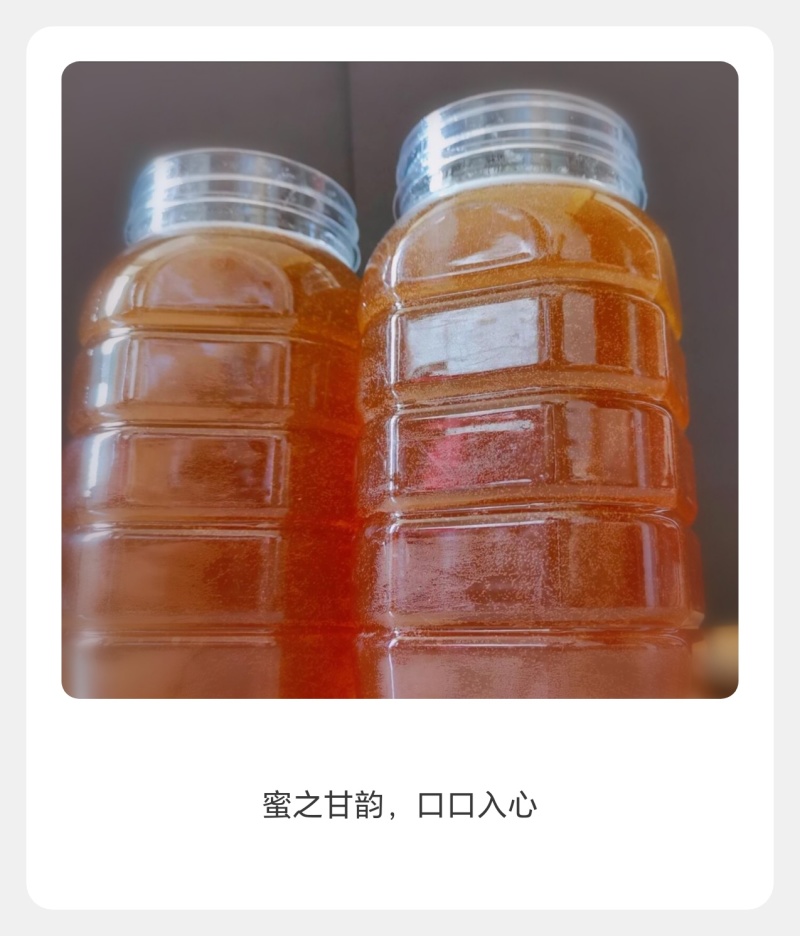 青川土蜂蜜