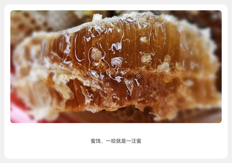 青川土蜂蜜