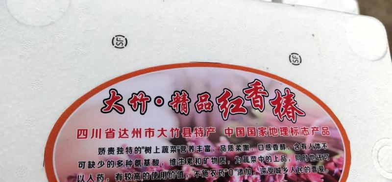 香椿芽四川大竹优质红油香椿香芽现货大量上市了。